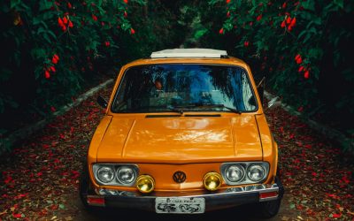 Fiesta VW: Your Go-To Destination for Quality and Performance This Autumn